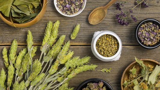 5 Herbal Remedies for Natural Rejuvenation and Vitality
