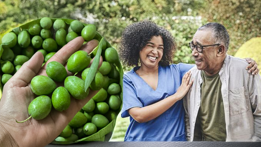 New Research Shows Hydroxytyrosol Can Improve Memory and Cognitive Function Naturally