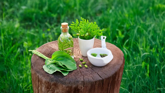 The Link Between Hormonal Balance and Herbal Supplements