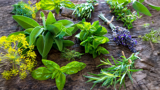 Top 5 Clinically Researched Herbs That Support Blood Sugar Stabilization