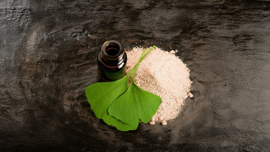 ginkgo biloba