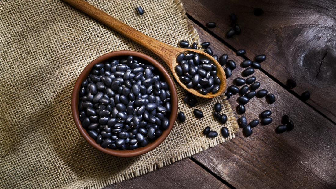 Vigna cylindrica: A Hidden Gem for Nutritional and Metabolic Wellness