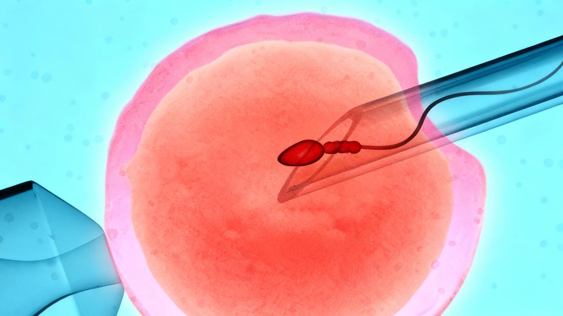 The Hidden Cost of Assisted Reproductive Technology (ART): A Doctor’s Perspective