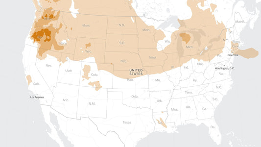 Tracking U.S. Wildfires and Smoke: Latest Maps, Data, and Trends
