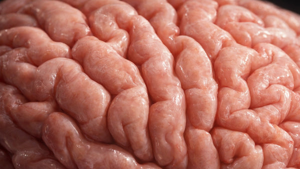 Feeling Stressed All the Time? Understanding the Impact of High Cortisol