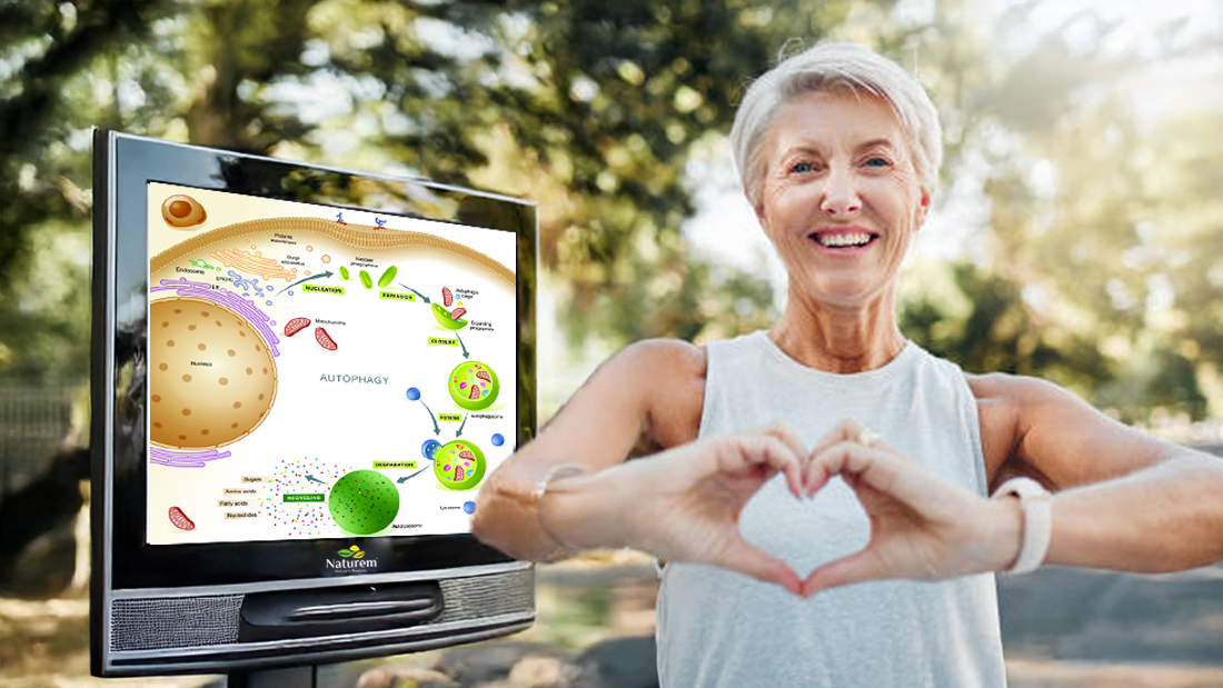 Autophagy Explained: How Your Body Cleans Itself to Live Longer and Healthier