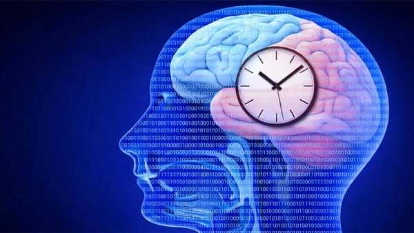 Morning Cortisol vs Night Cortisol: Why Your Energy Feels Broken