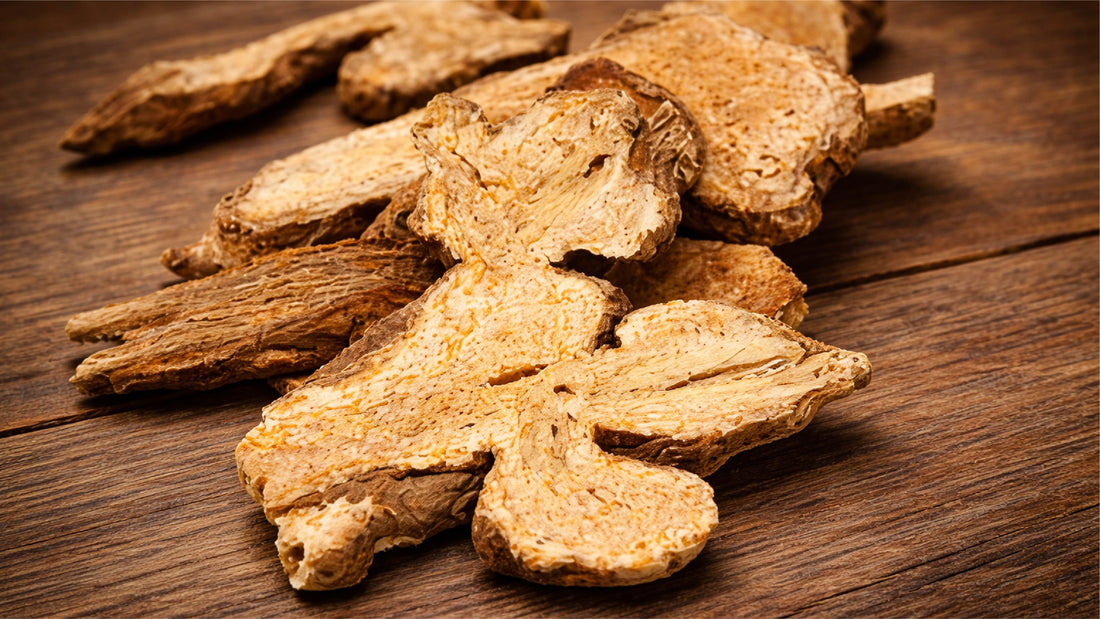 Natural Diabetes Support: Benefits and Dosage of Atractylodes Macrocephala (Bai Zhu)