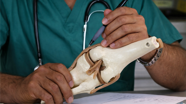 Understanding Joint Mobility and Its Natural Decline