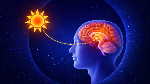 Light Therapy: How to use lightbox therapy to reset your circadian rhythm