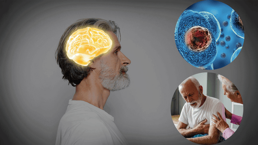 Oxidative Stress: The Hidden Mechanism Behind Aging and Chronic Diseases