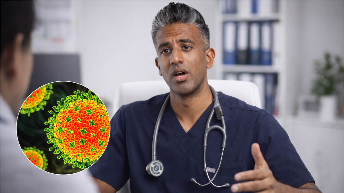 How to Prevent Nipah Virus: A Complete Guide to Food Safety and Infection Control