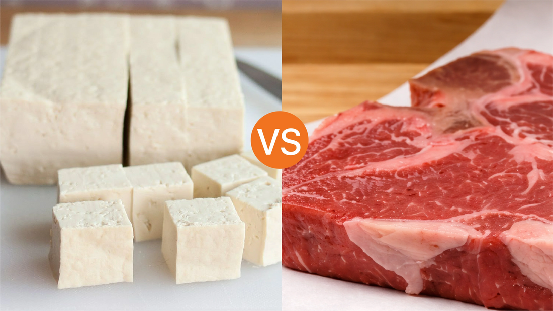 Plant Protein vs. Animal Protein: A Longitudinal Study on Longevity and Heart Health