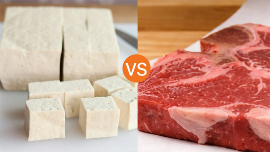 Plant Protein vs. Animal Protein: A Longitudinal Study on Longevity and Heart Health