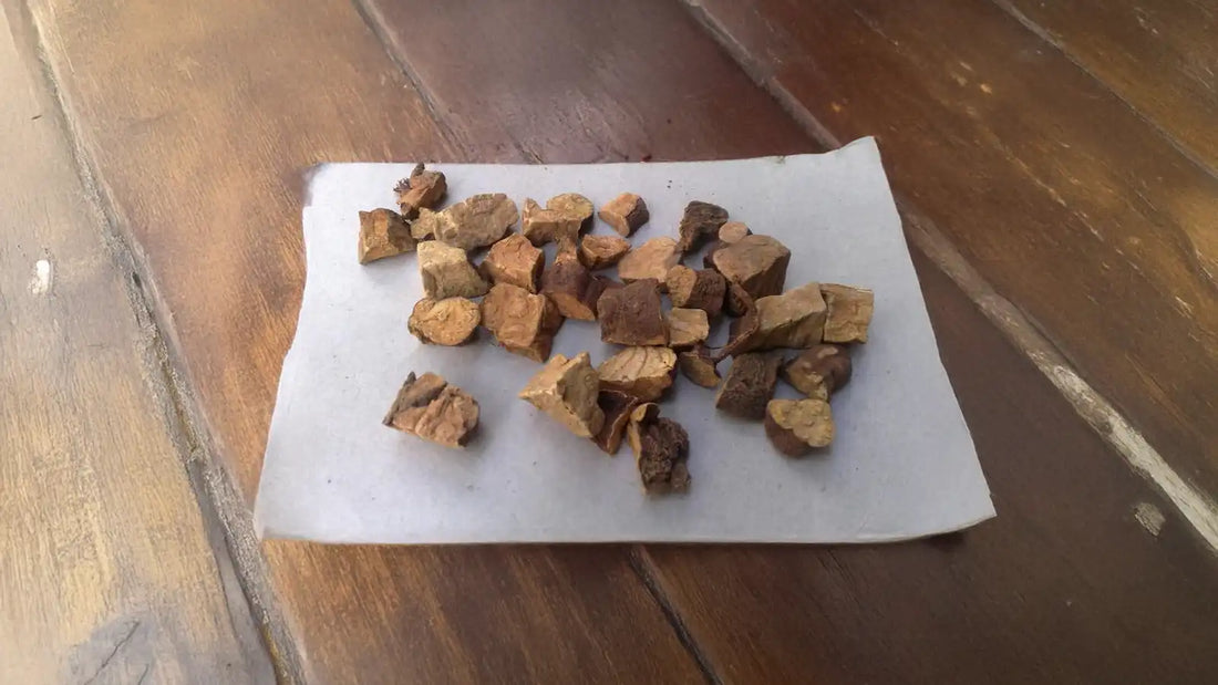 Radix Glycyrrhizae A Timeless Remedy in Herbal Medicine