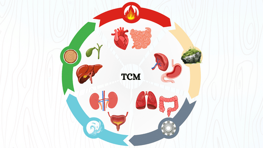 The Five-Element Diet and Organ Balance: Harmonizing Food, Energy, and Health