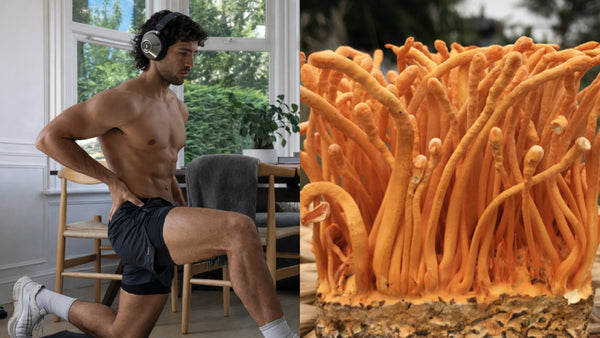 Top 10 Herbs for Erectile Dysfunction and Vascular Resilience