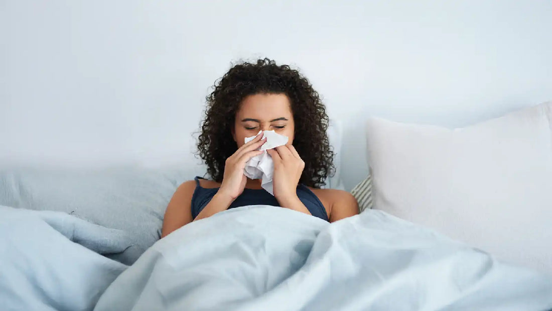 Understanding Seasonal Flu