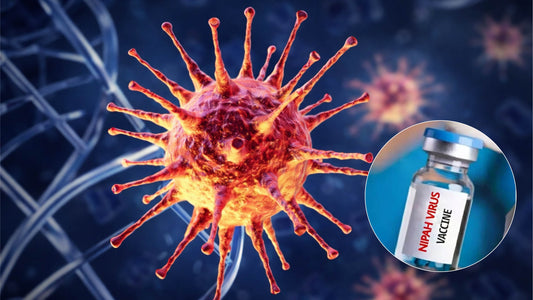 The Search for a Nipah Vaccine: Where Do We Stand in 2026?