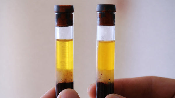 Beyond Water: The Role of Electrolytes and Plasma Volume in Heat Recovery