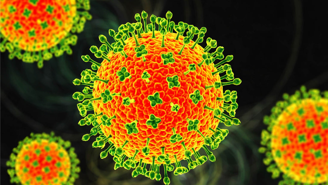 Nipah Virus (NiV): The Comprehensive Guide to Symptoms, Transmission, and Prevention