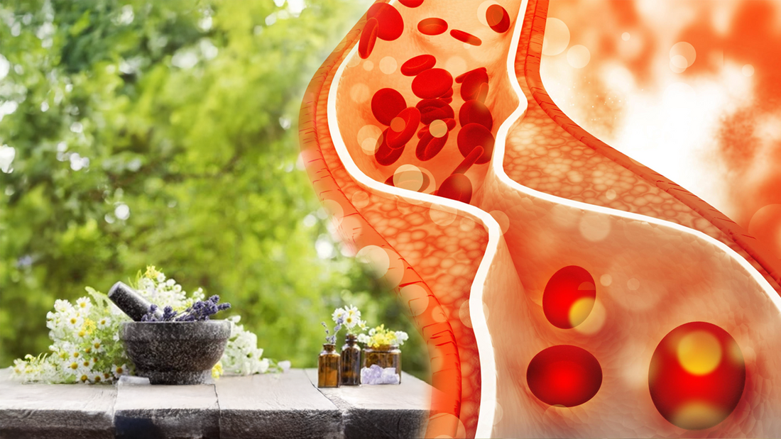 What Is Cholesterol and Why Is It Important?