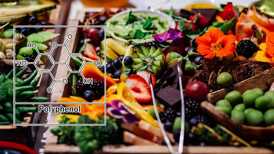 What Are Polyphenols and Why Your Body Needs Them
