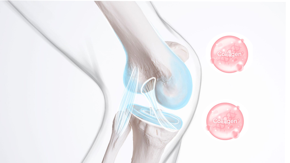 Collagen: A Crucial Component for Bone and Joint Health