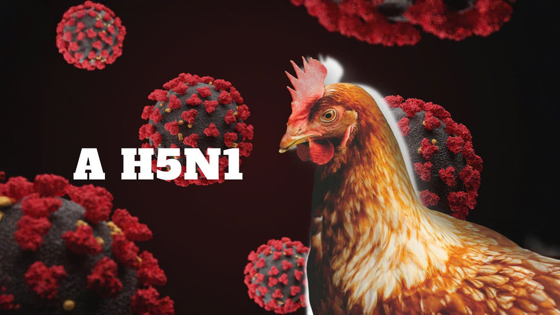 z6180339809668_891f7222dcdcb90d250a057e1e0ee2bd