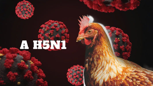 z6180339809668_891f7222dcdcb90d250a057e1e0ee2bd