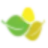 Naturem.us logo